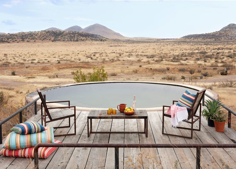 LizLambert Perennials FINAL vWEB