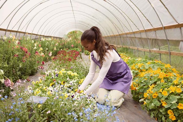 MrsMeyers CleanDay Hoop House Planting WEB
