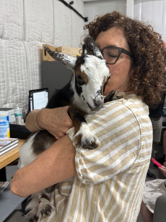 woman holding and kissing baby goat