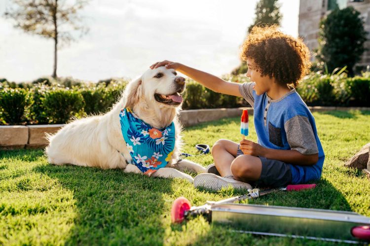 Boy Petting Dog on Lawn
