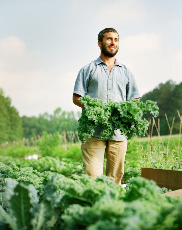 farmer picking kale